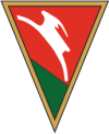 logo Lublinianka Wieniawa