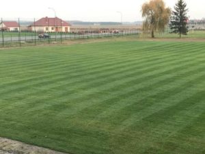 stadion w wiązownicy
