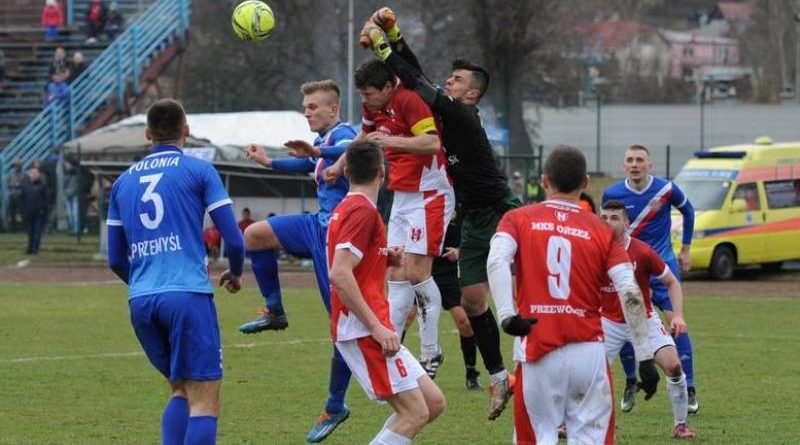 polinia przemyśl orzeł przeworsk