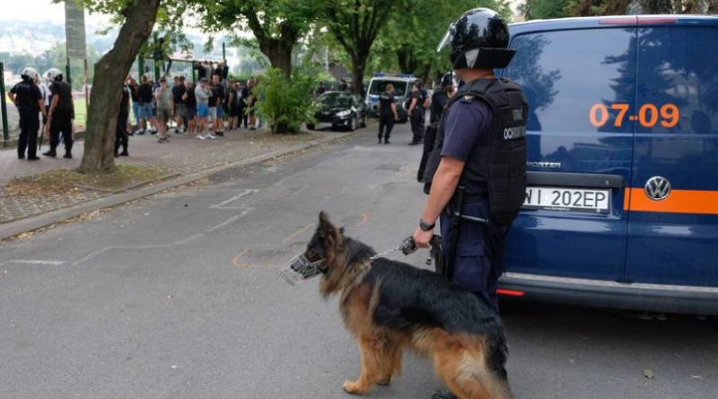 kibice czuwaj orzeł