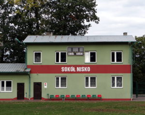 sokoł nisko