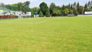 piast tuczempy